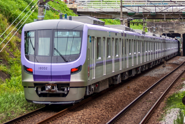 Hanzomon Line
